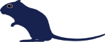 Aspect schématique du gerbille de type Blue (Bleue, noire diluée)